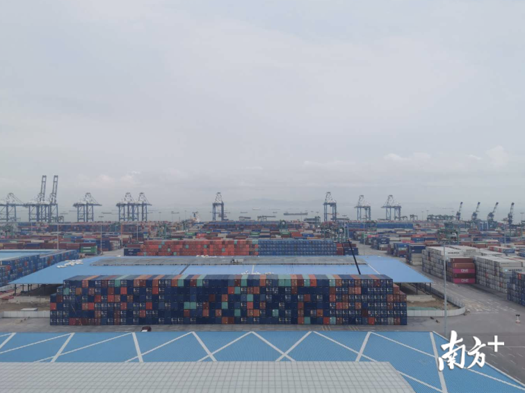 南沙港。肖霞 摄